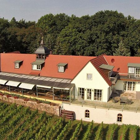 Pension Bella Vista - Winzerhof Golk Meißen Exteriér fotografie