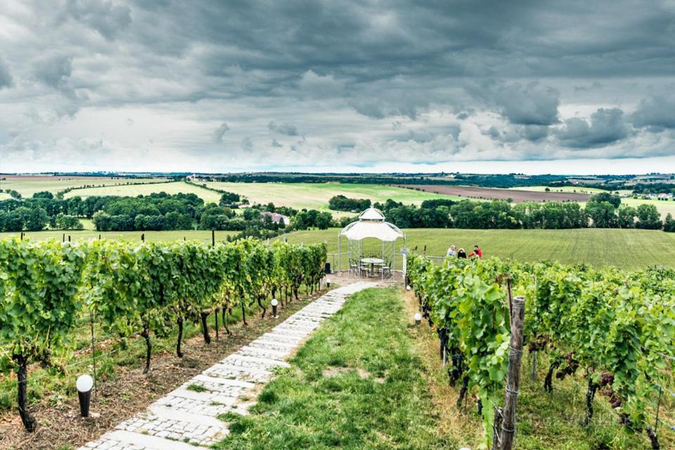 Pension Bella Vista - Winzerhof Golk Meißen Exteriér fotografie