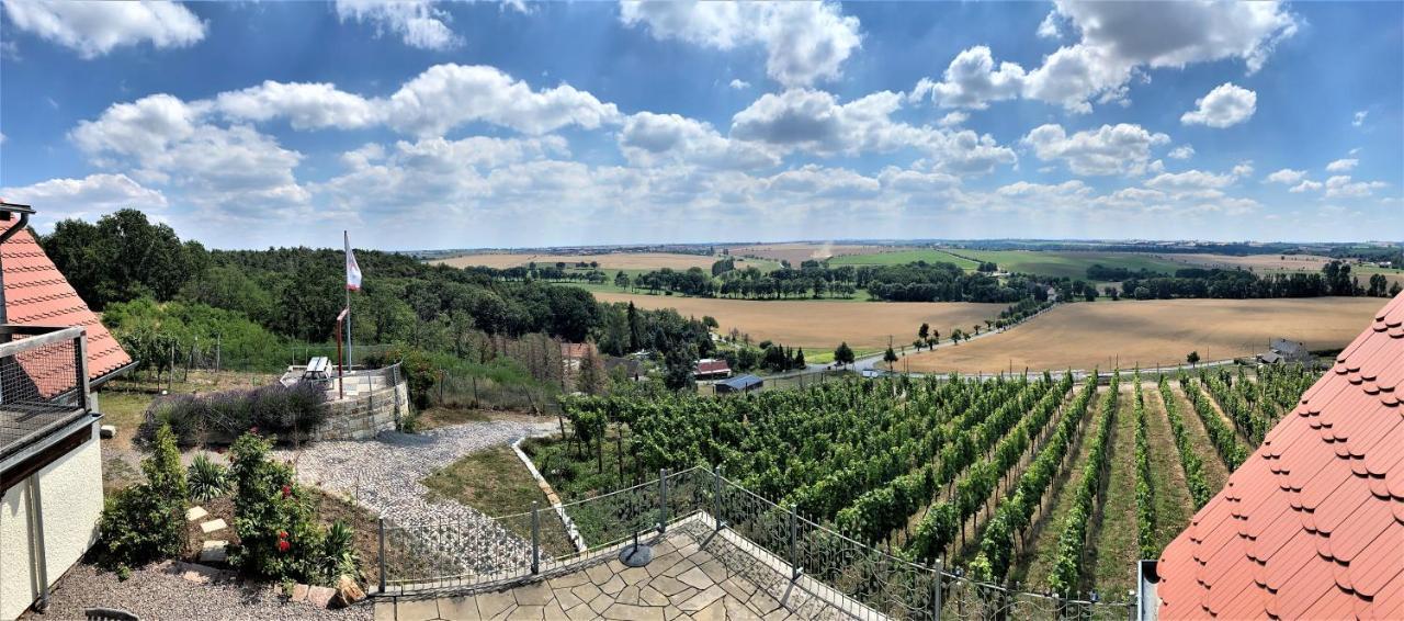 Pension Bella Vista - Winzerhof Golk Meißen Exteriér fotografie