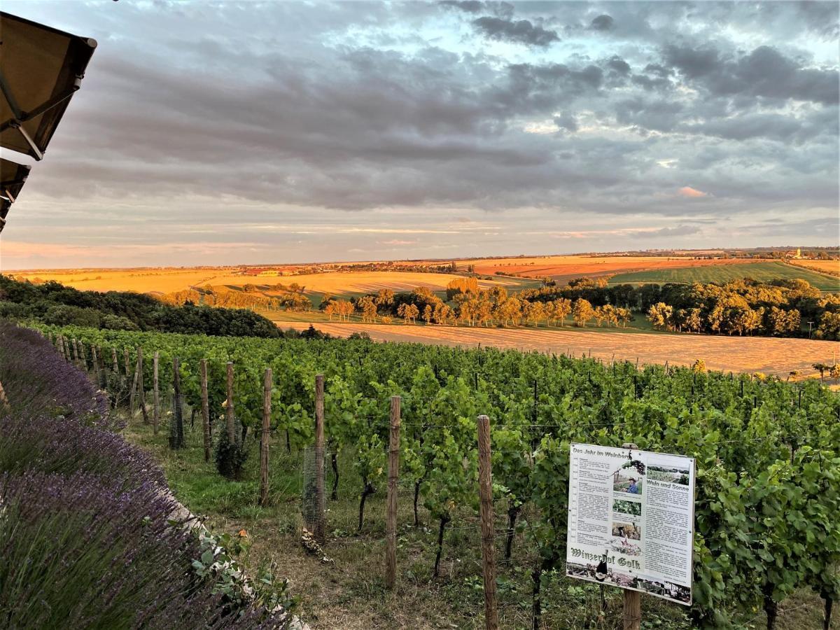 Pension Bella Vista - Winzerhof Golk Meißen Exteriér fotografie