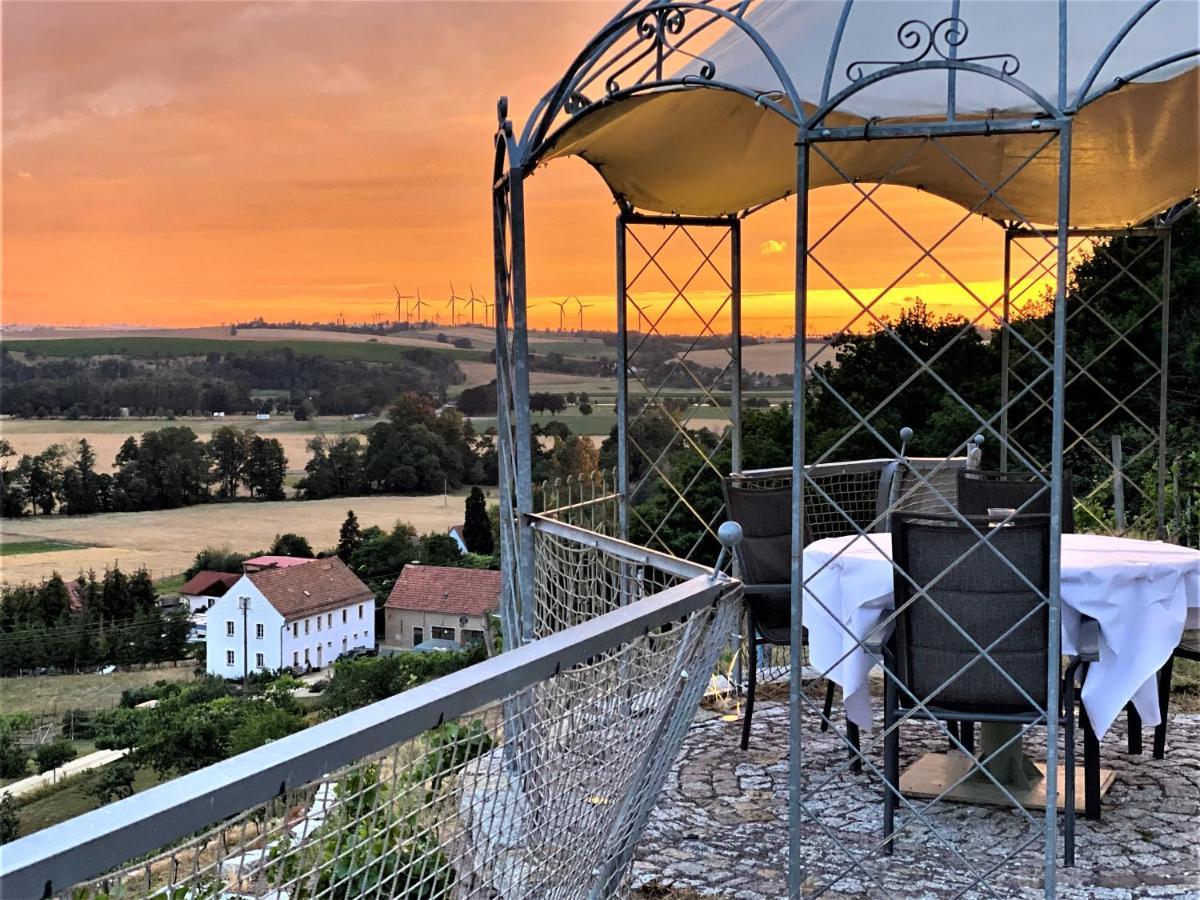 Pension Bella Vista - Winzerhof Golk Meißen Exteriér fotografie